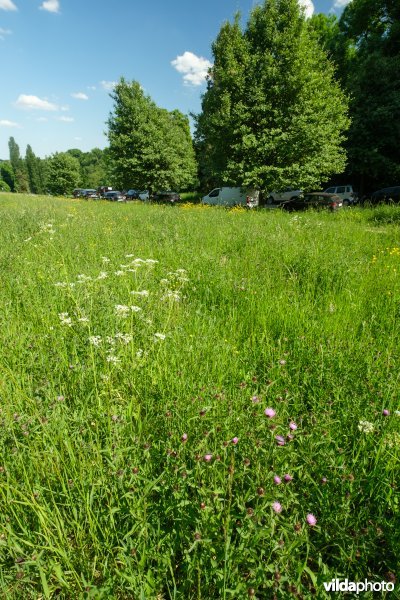 6510 Schraal hooiland