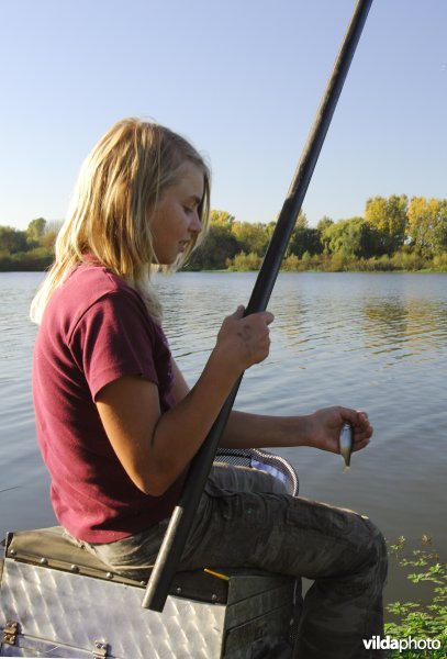 Vissen aan het Schulensmeer