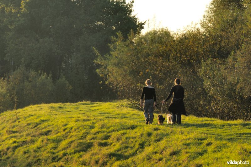 Wandelen in het Schulensbroek