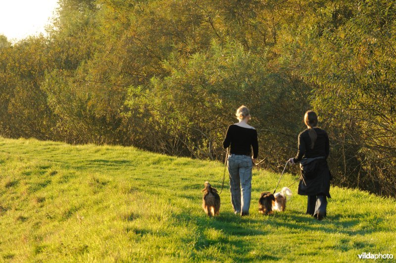 Wandelen in het Schulensbroek