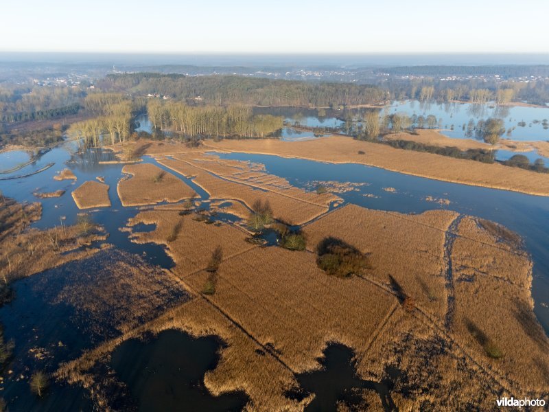 De Demerbroeken
