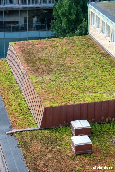 Groendak op een hotel