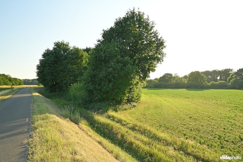 Demervallei: Heuvels Laakvallei 