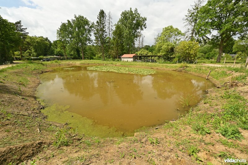 Demervallei: Doodbroek 