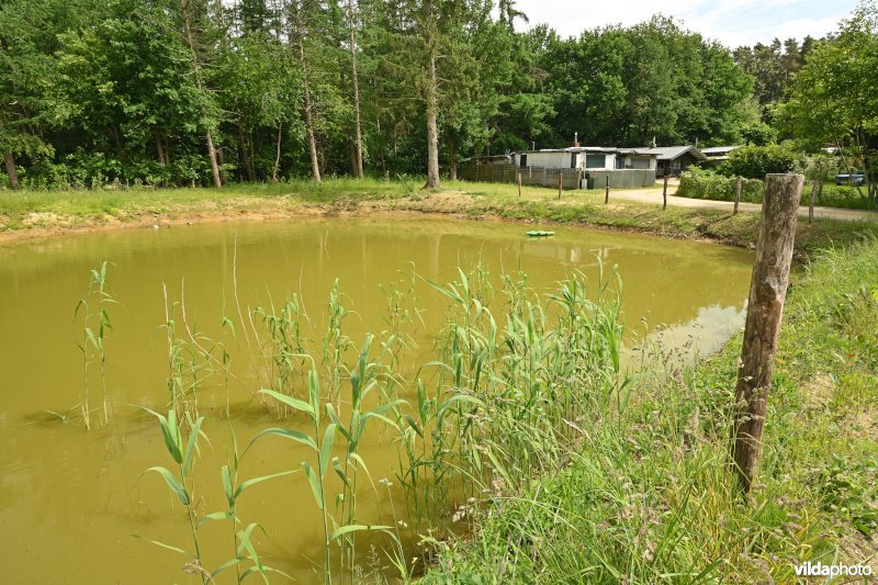 Demervallei: Doodbroek 