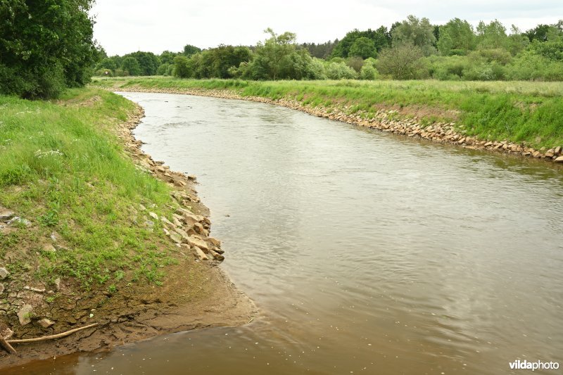 Demervallei: Kloosterbeemden