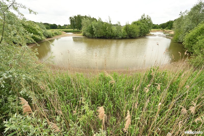 Demervallei: Kloosterbeemden