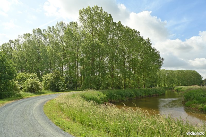 Demervallei: Molenstedebroek 