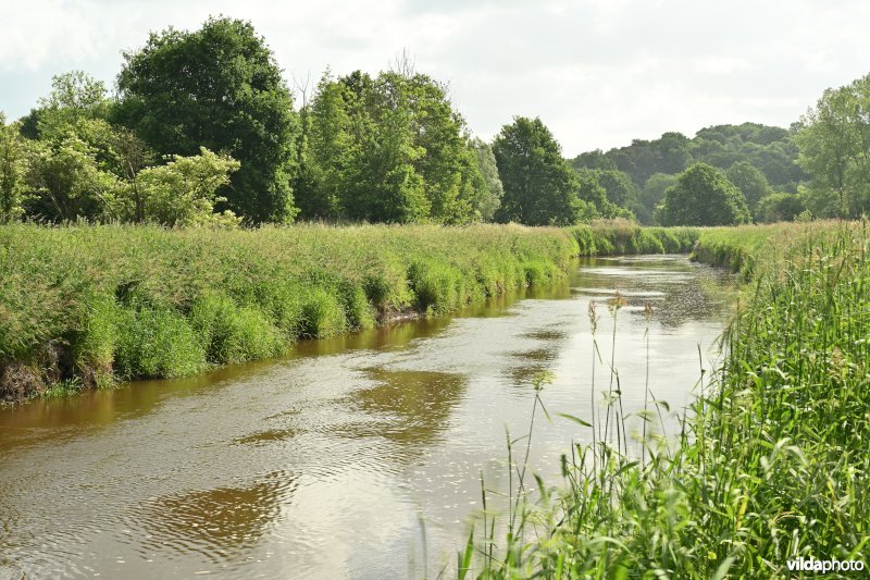 Demervallei: Vinkenberg