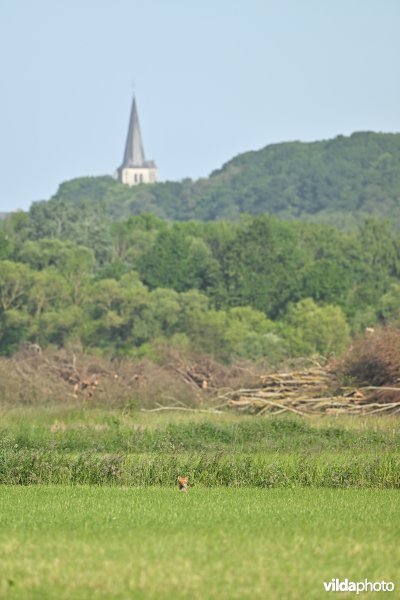 Bruggeneindse Laakvallei