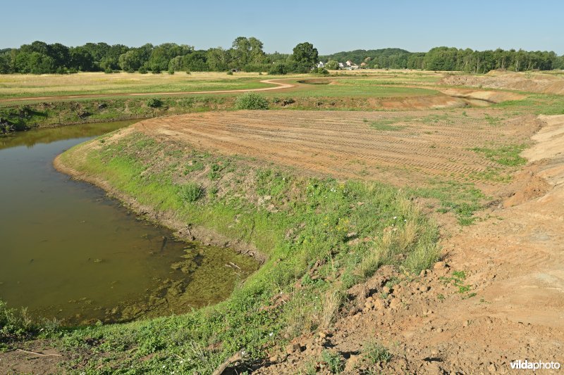 Demervallei: De Hammen 