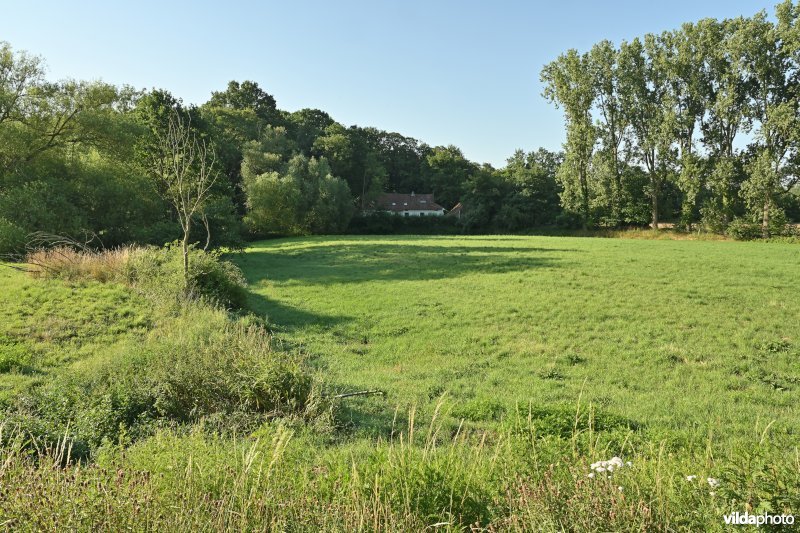 Demervallei: kokermeanders  