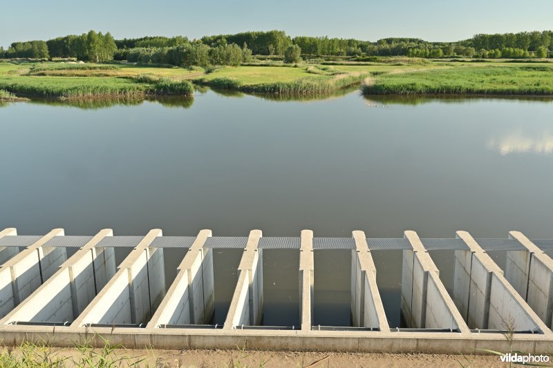 Vlassenbroekse polder (R)