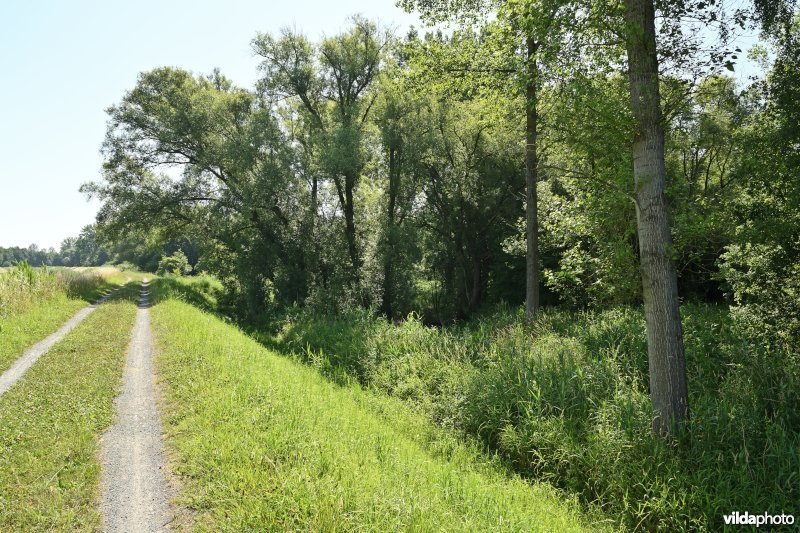 Demervallei: Werchter (R) 