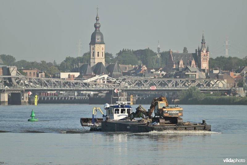 Schelde in Temse 