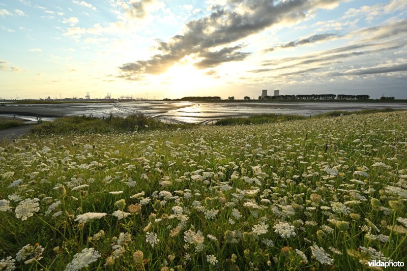 Hedwige-Prosperschor