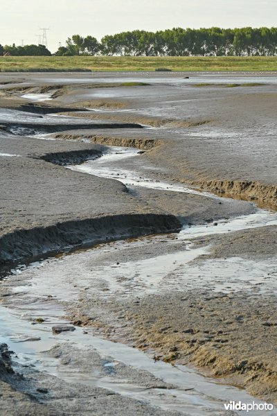 Hedwige-Prosperschor