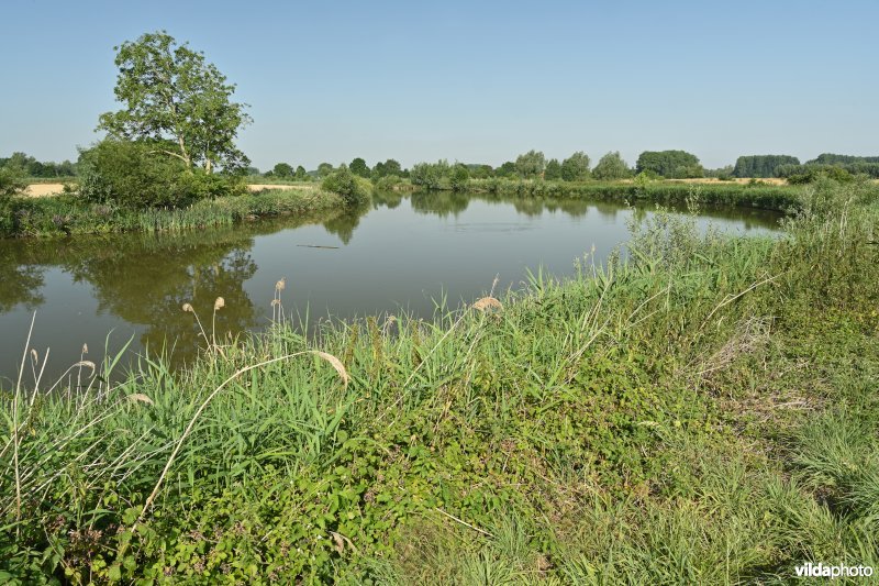 Oude Schelde in de Kalkense Meersen (R)