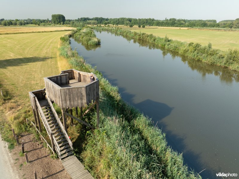 Uitkijktoren aan de oude Schelde in de Kalkense Meersen