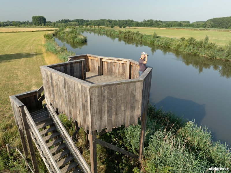 Uitkijktoren aan de oude Schelde in de Kalkense Meersen