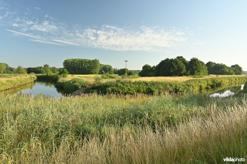 Demervallei: Meanders van Nieuwland (R)