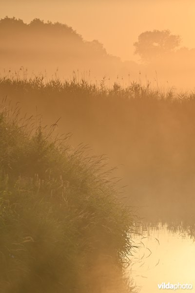 Demervallei: Langdorp