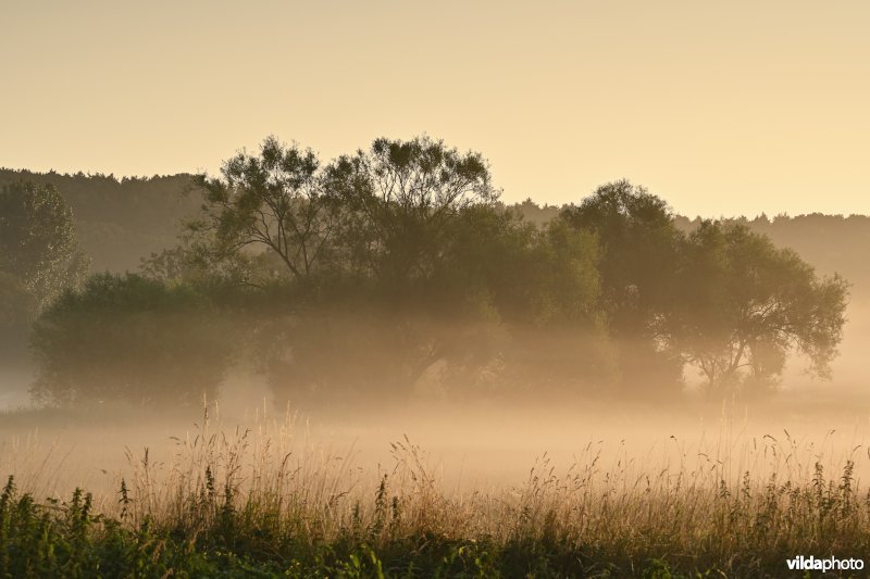 Demervallei: Langdorp