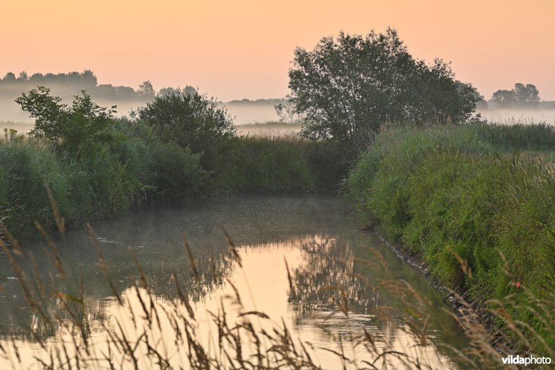 Demervallei: Langdorp