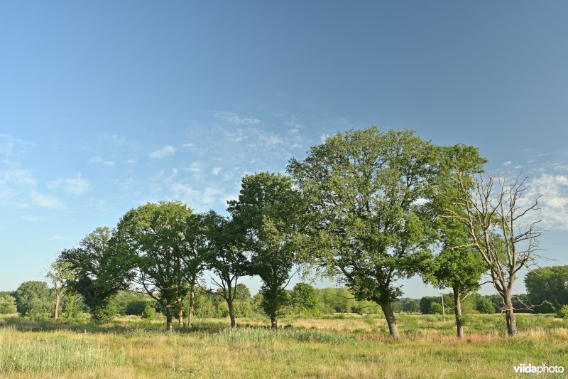 Demervallei 