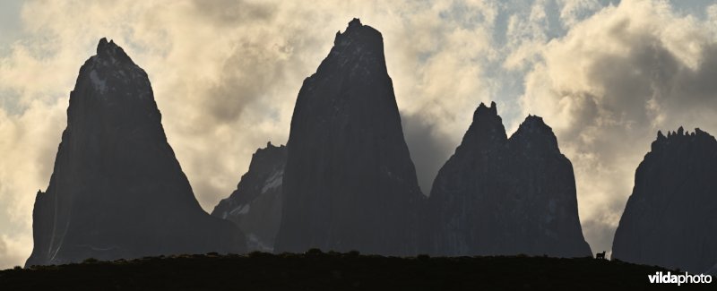 Poema in Torres Del Paine