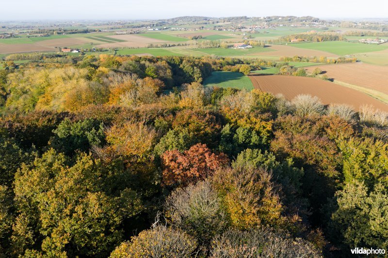 Monteberg