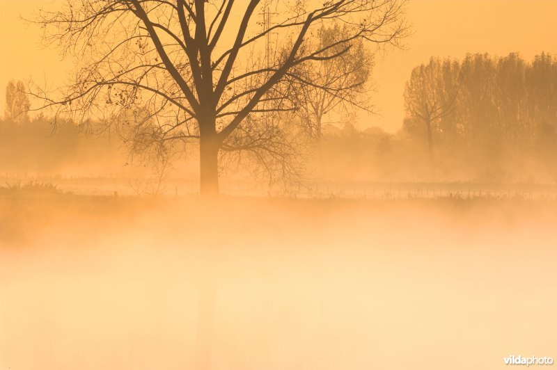 Oude Durme meander