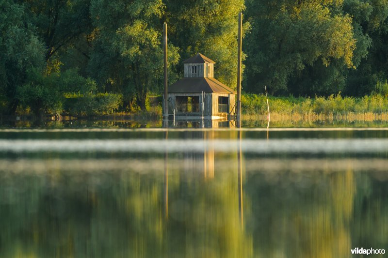 Vogelkijkhut in de Millingerwaard