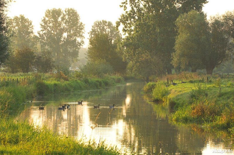 Zwalmvallei in de Vlaamse Ardennen