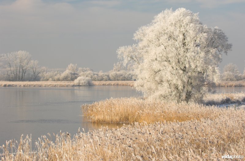 De Blankaart in de winter