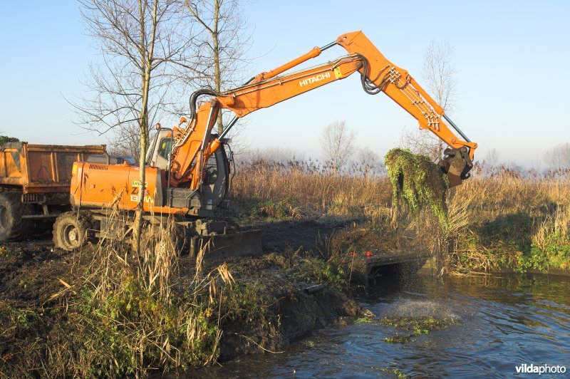 Grote waternavel bestrijding