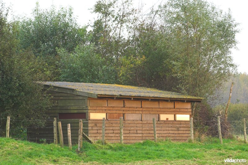 Vogelkijkhut in de Stadswallen