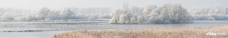 De Blankaart onder een laagje rijm