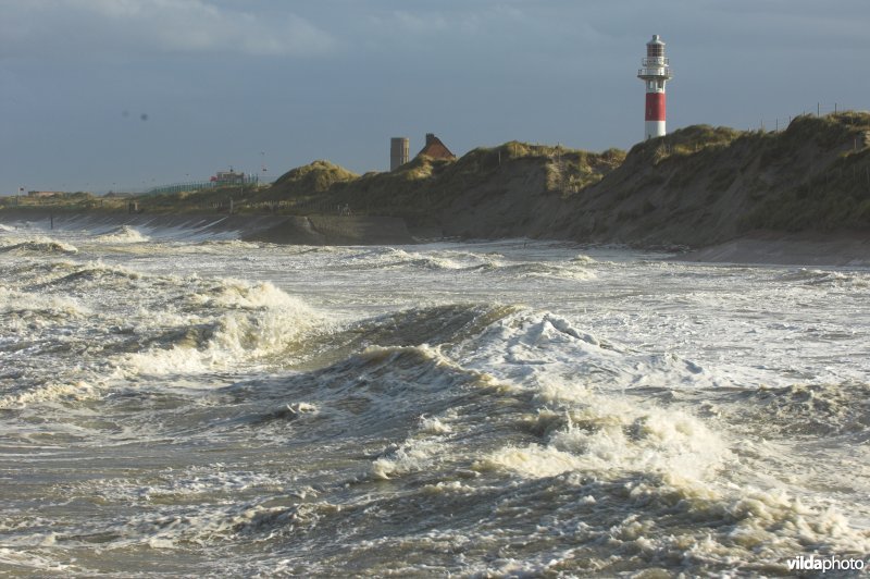 Storm aan zee