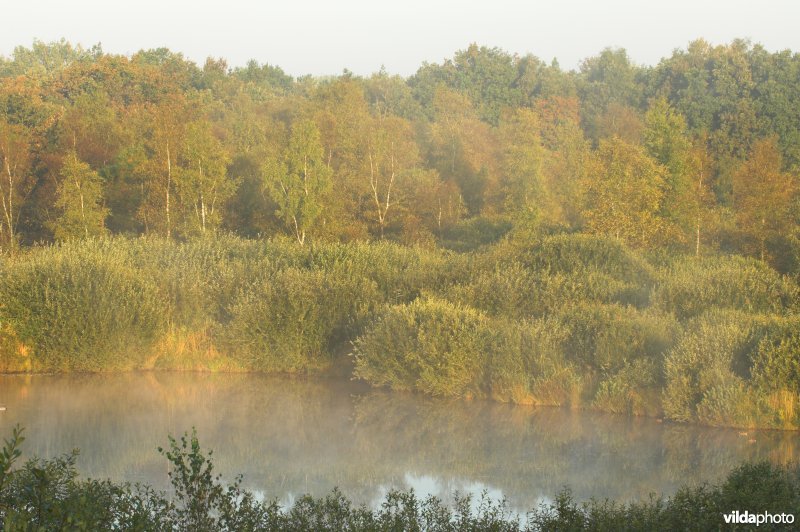 Landschap de Liereman