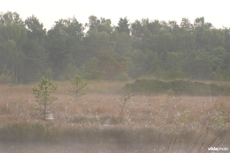 Landschap de Liereman