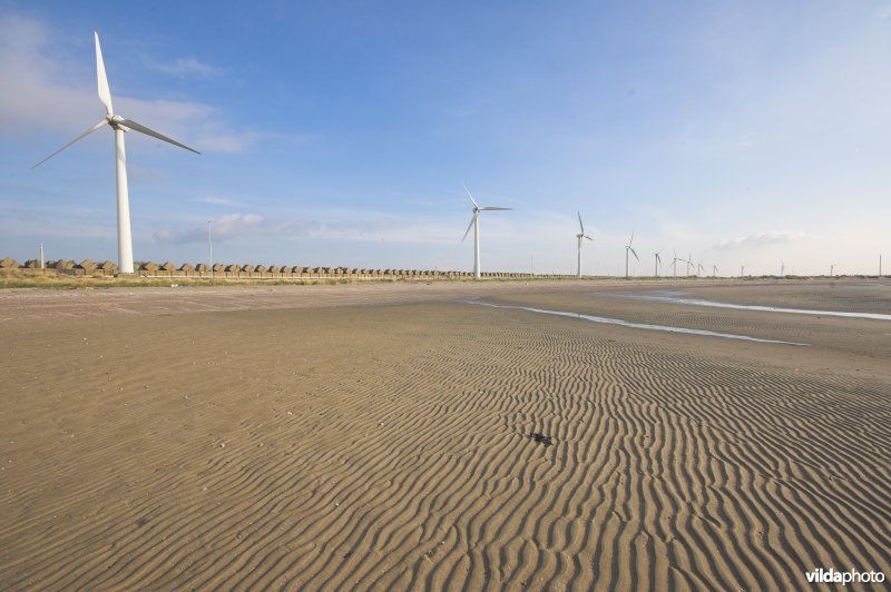 Sterneneiland in haven Zeebrugge