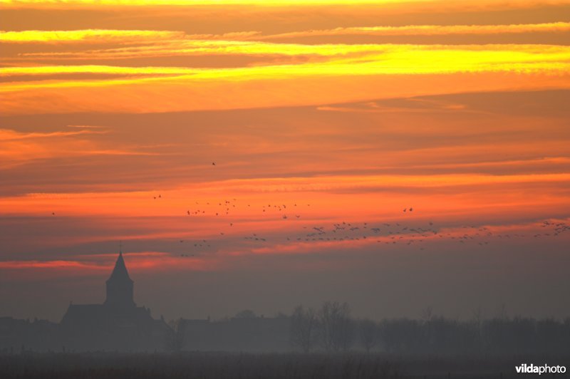 Uitkerkse polders