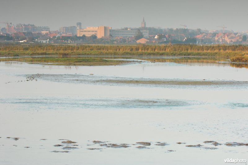 Molenplasje in de Uitkerkse Polders