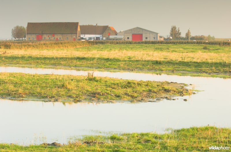 Uitkerkse polders