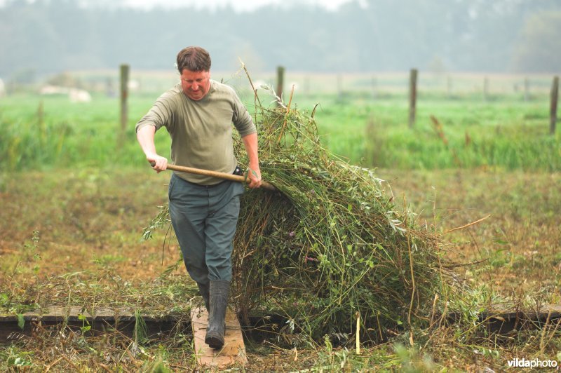 Natuurarbeiders aan de slag