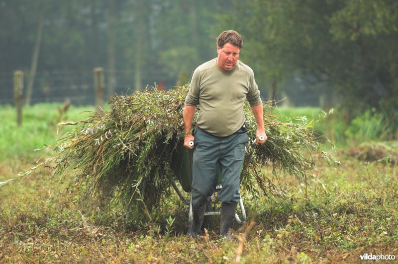 Natuurarbeiders aan de slag