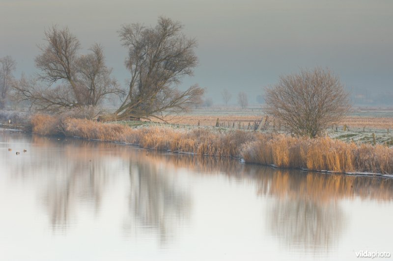 Rivier de IJzer