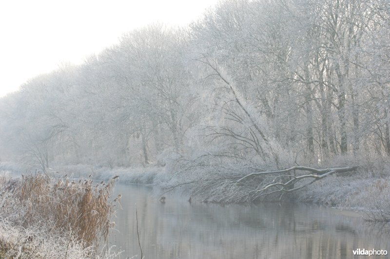 Berijpte Ieperlee-kanaal