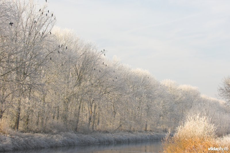 Berijpte Ieperlee-kanaal